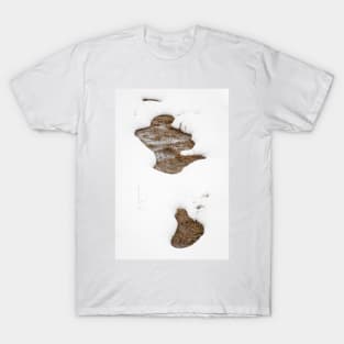 Shapes In Snow T-Shirt